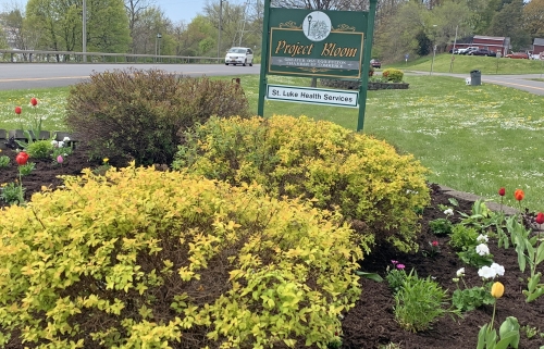 St. Luke Health Services Supports the Chamber's "Project Bloom" Beauti...