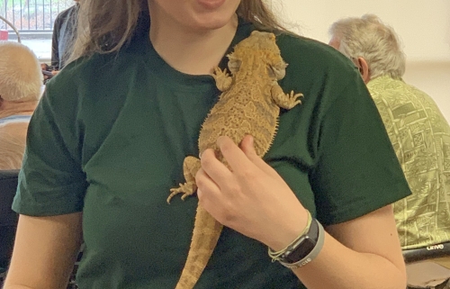 Learning About Reptiles of All Kinds Thanks To Visit From Grace and Gl...