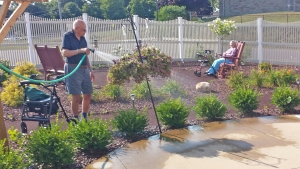 Helping Keep The COurtyard Blooming SFC 8 2018